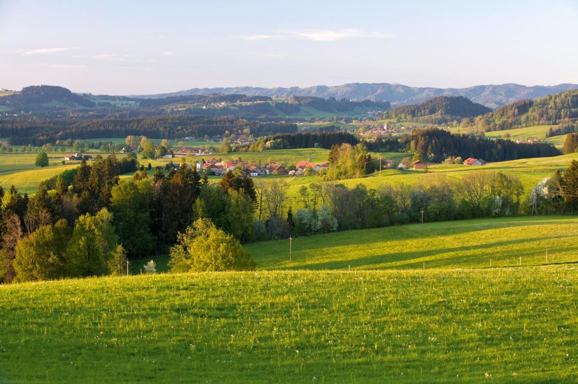 Allgaeu-Glueck Gruenenbach Grunenbach Exterior foto